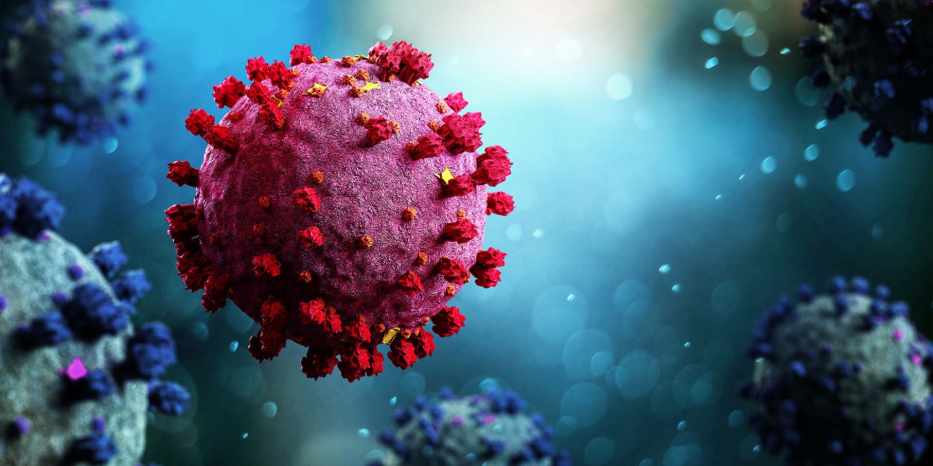 Photo d'un virus